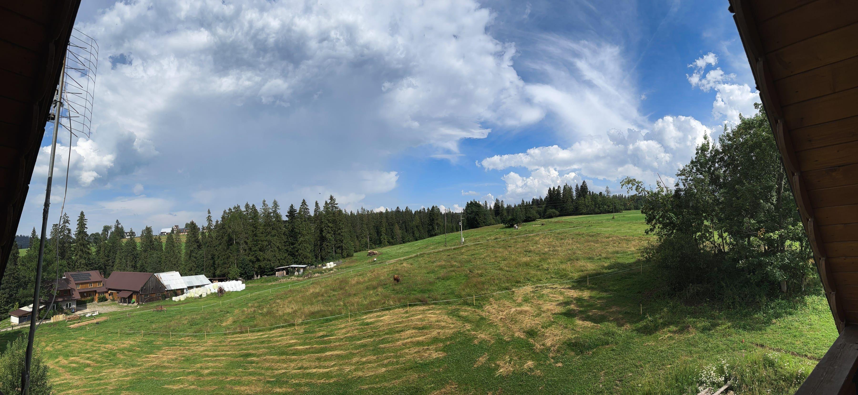 Wieczorna panorama okolicznych łąk i pagórków